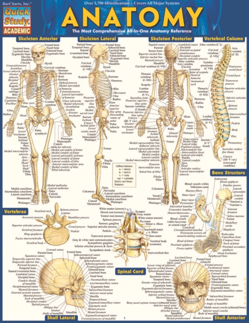 Anatomy - Reference Guide (8.5 x 11) : a QuickStudy reference tool, PDF eBook