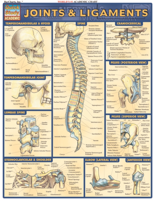 Joints & Ligaments, PDF eBook