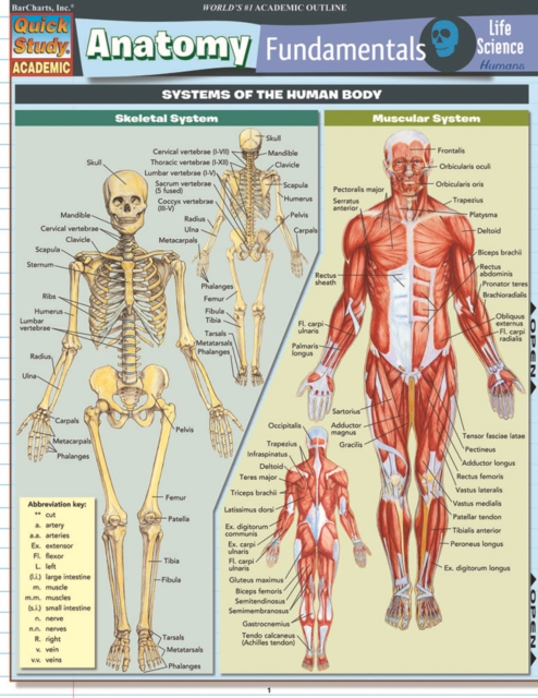Anatomy Fundamentals: Life Science, PDF eBook