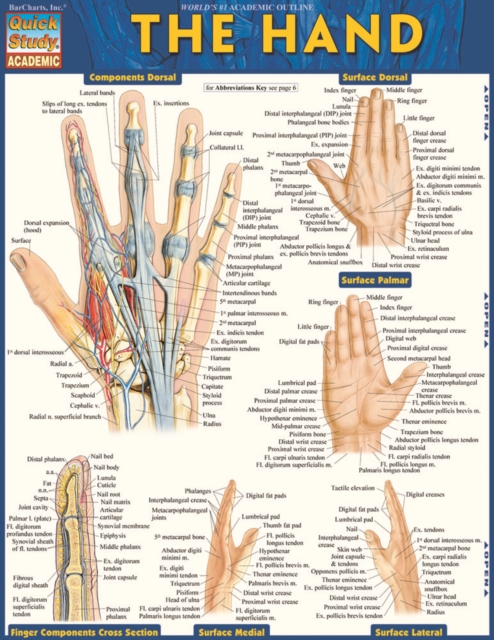 The Hand, PDF eBook