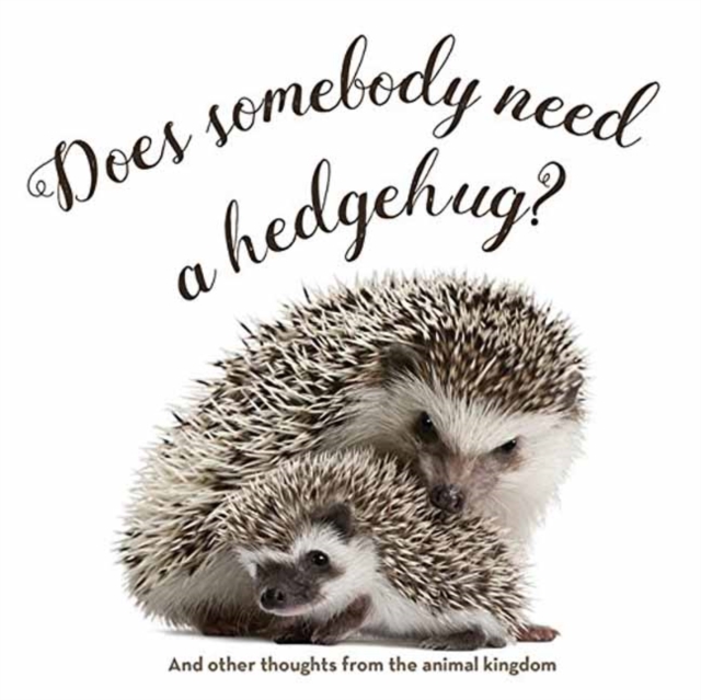Does Somebody Need a Hedgehug?, Hardback Book