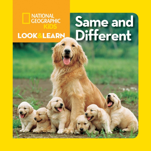 Look and Learn: Same and Different, Board book Book