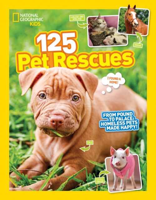 125 Pet Rescues : From Pound to Palace: Homeless Pets Made Happy, Paperback / softback Book