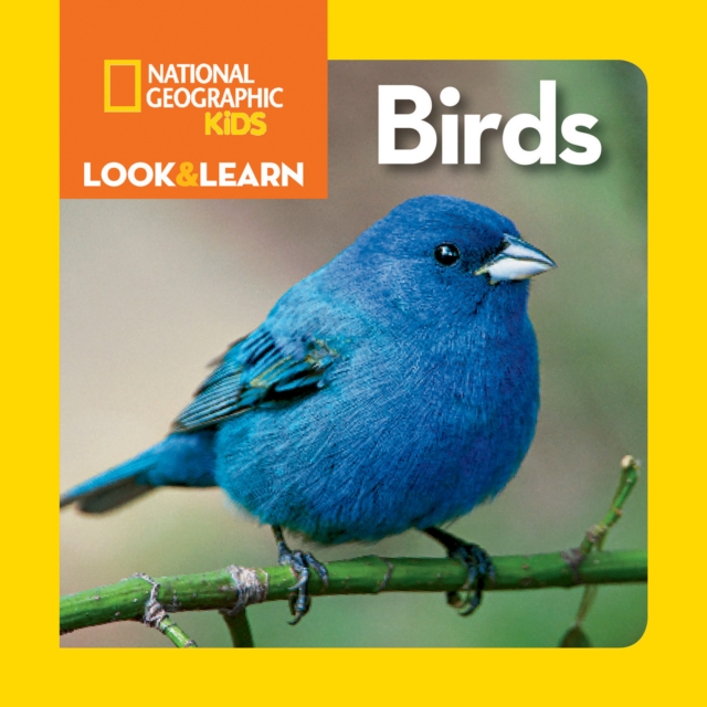 Look and Learn: Birds, Board book Book