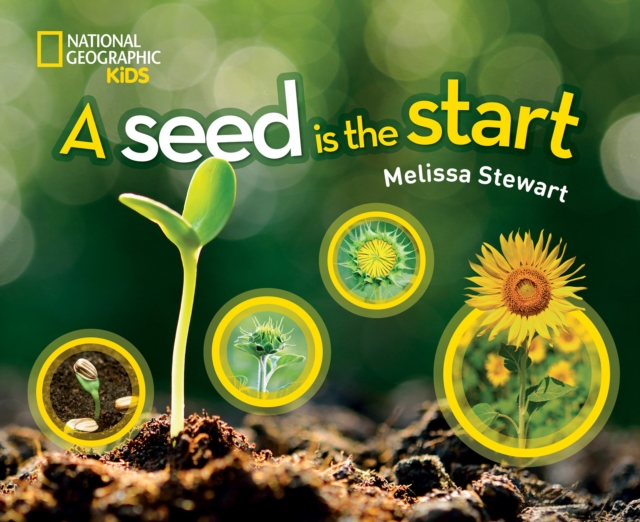 A Seed is the Start, Hardback Book