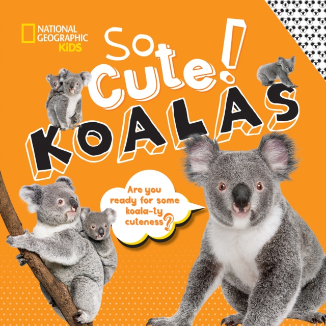 So Cute! Koalas, Hardback Book
