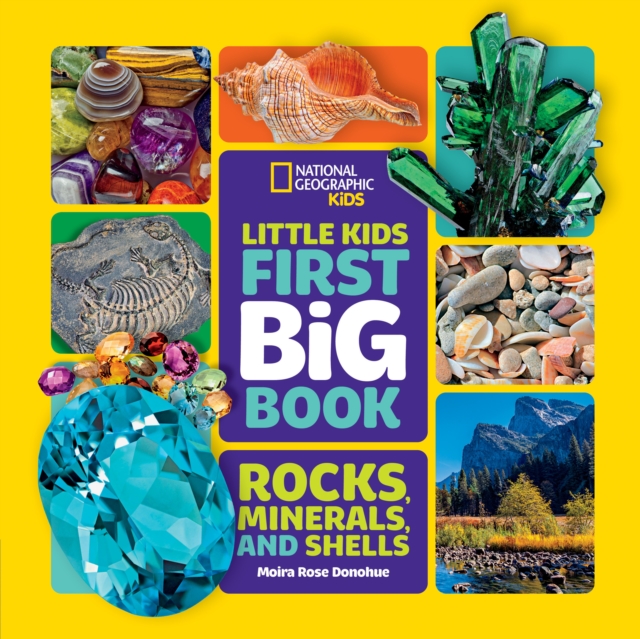 Little Kids First Big Book of Rocks, Minerals and Shells, Hardback Book