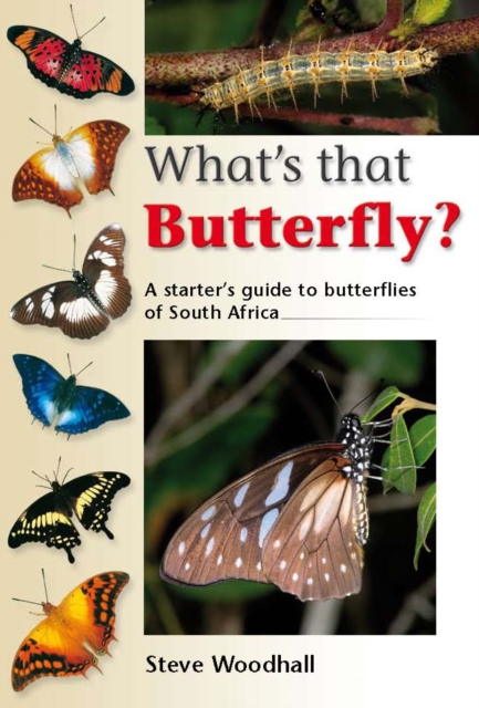 What's that Butterfly? : A starter's guide to butterflies of South Africa, PDF eBook