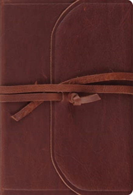 ESV Student Study Bible, Leather / fine binding Book
