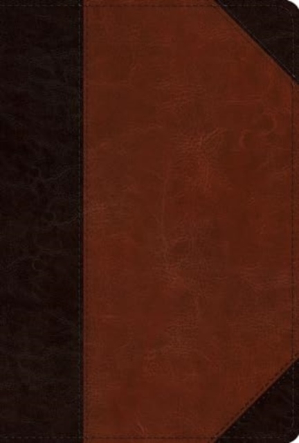 ESV Men's Study Bible, Leather / fine binding Book