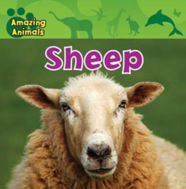 Sheep, PDF eBook
