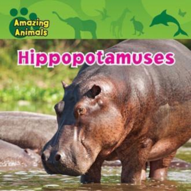 Hippopotamuses, PDF eBook
