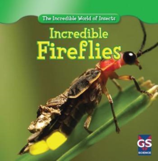 Incredible Fireflies, PDF eBook