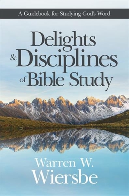 Delights & Disciplines of Bibl, Paperback / softback Book