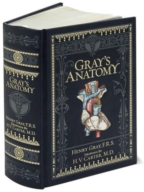 Gray's Anatomy (Barnes & Noble Collectible Classics: Omnibus Edition), Leather / fine binding Book