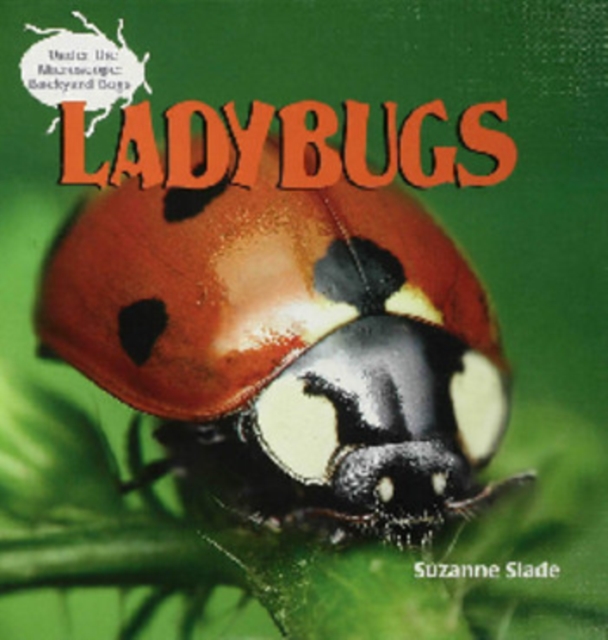 Ladybugs, PDF eBook