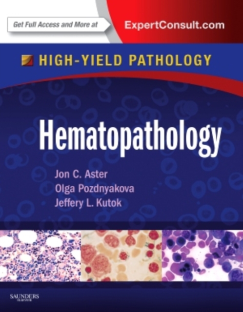 Hematopathology : A Volume in the High Yield Pathology Series (Expert Consult - Online and Print), Hardback Book