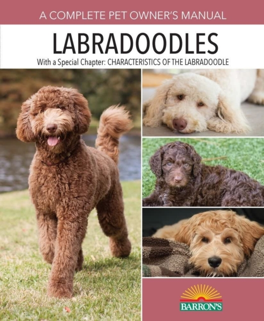Labradoodles, Paperback / softback Book