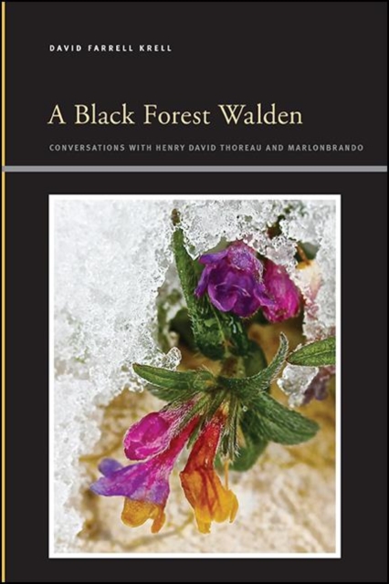 A Black Forest Walden : Conversations with Henry David Thoreau and Marlonbrando, EPUB eBook