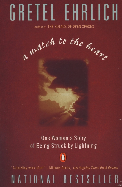 Match to the Heart, EPUB eBook