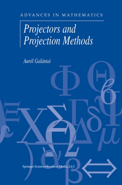 Projectors and Projection Methods, PDF eBook