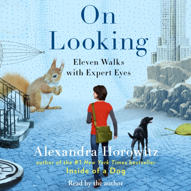 On Looking : Eleven Walks with Expert Eyes, eAudiobook MP3 eaudioBook