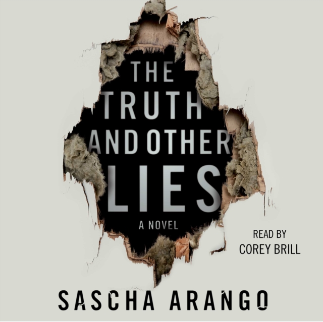 The Truth and Other Lies : A Novel, eAudiobook MP3 eaudioBook