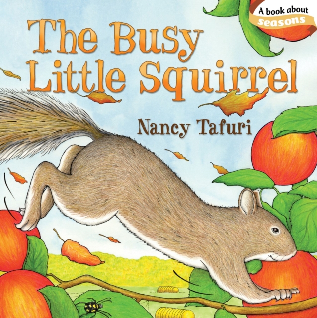 The Busy Little Squirrel, Board book Book