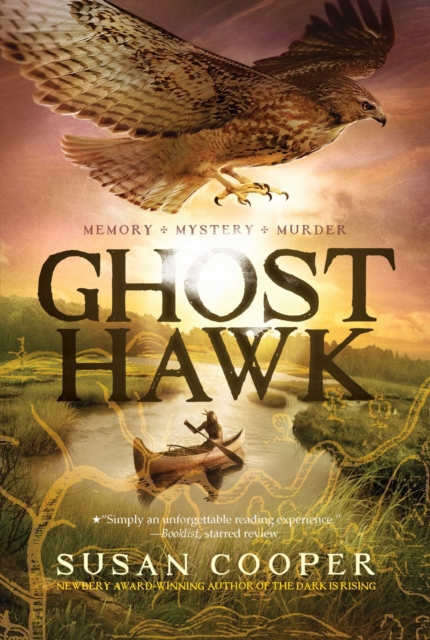 Ghost Hawk, Paperback Book