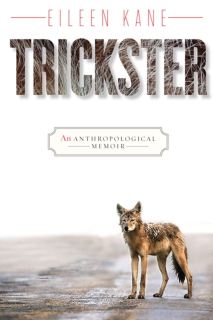 Trickster : An Anthropological Memoir, Paperback / softback Book