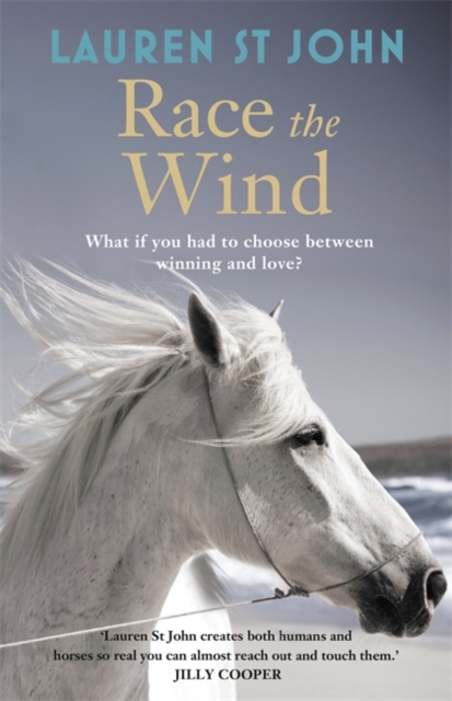 Race the Wind : Book 2, Hardback Book