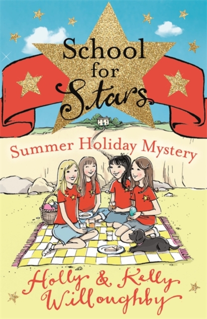 Summer Holiday Mystery : Book 4, EPUB eBook