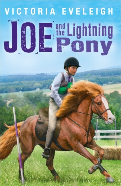 Joe and the Lightning Pony : Book 2, EPUB eBook