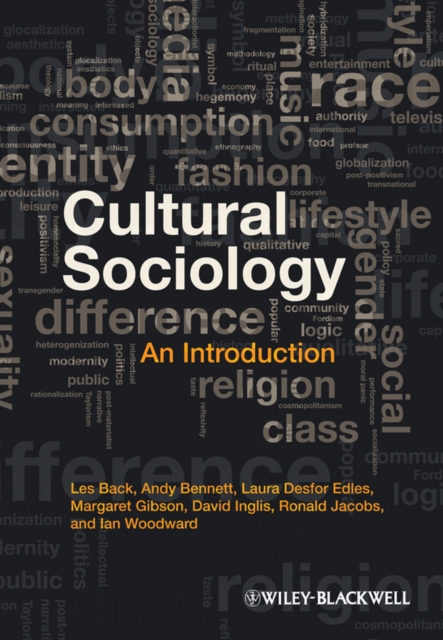 Cultural Sociology : An Introduction, PDF eBook