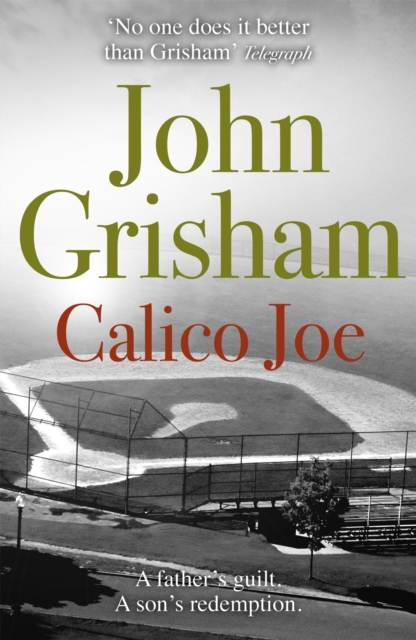 Calico Joe : An unforgettable novel about childhood, family, conflict and guilt, and forgiveness, Paperback / softback Book