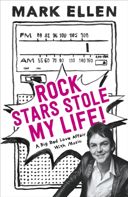 Rock Stars Stole my Life! : A Big Bad Love Affair with Music, Hardback Book