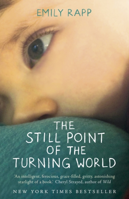 The Still Point of the Turning World, EPUB eBook