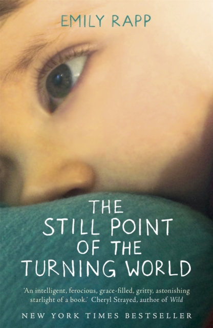 The Still Point of the Turning World, Paperback / softback Book