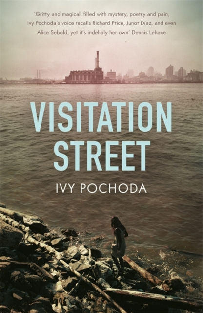 Visitation Street, Paperback Book