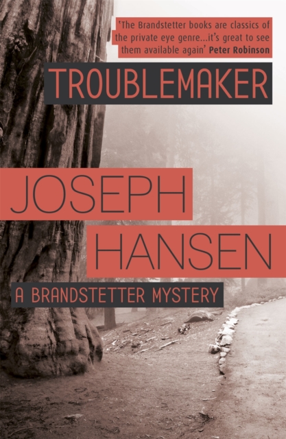 Troublemaker : Dave Brandstetter Investigation 3, Paperback / softback Book