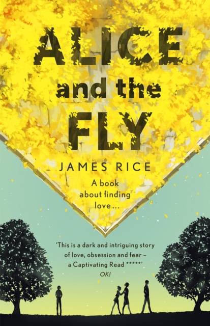 Alice and the Fly : 'a darkly quirky story of love, obsession and fear' Anna James, Paperback / softback Book