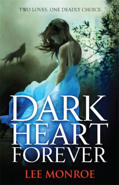 Dark Heart Forever : Book 1, Paperback Book