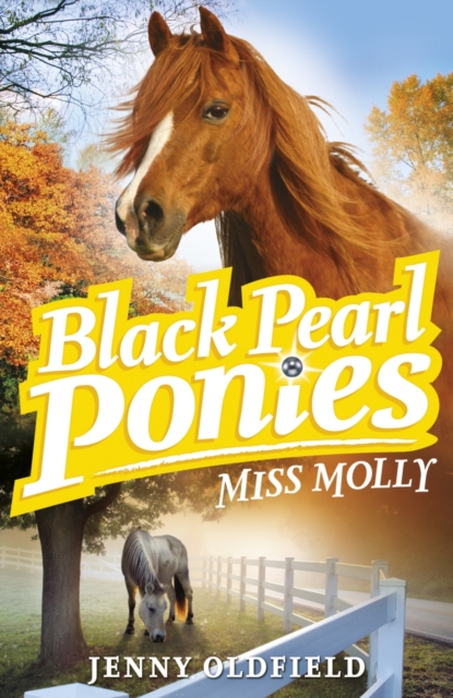 Miss Molly : Book 3, EPUB eBook