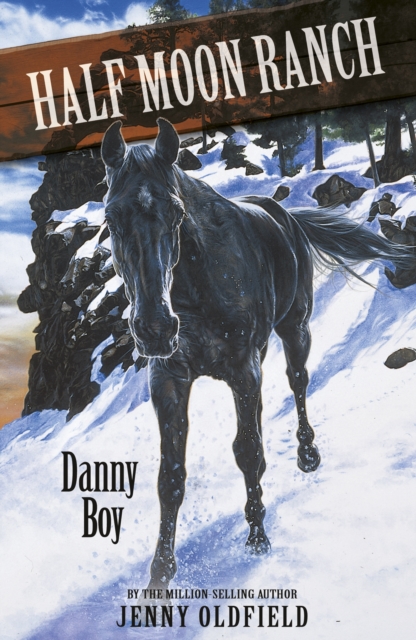 Danny Boy : Book 9, EPUB eBook