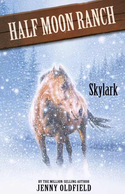 Skylark : Book 17, EPUB eBook