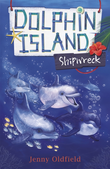 Dolphin Island: Shipwreck : Book 1, Paperback / softback Book
