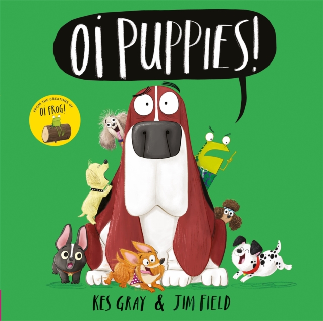 Oi Puppies!, Paperback / softback Book