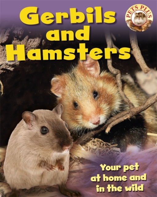 Gerbils and Hamsters, Paperback Book