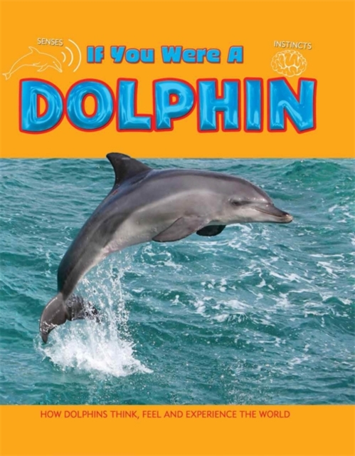 Dolphin, Hardback Book