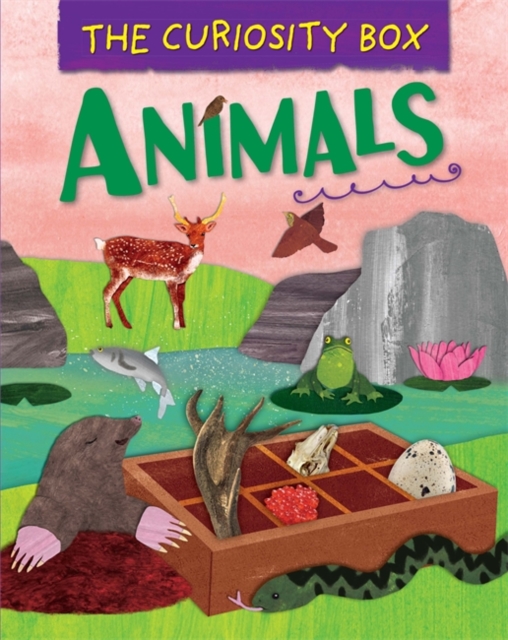 The Curiosity Box: Animals, Hardback Book